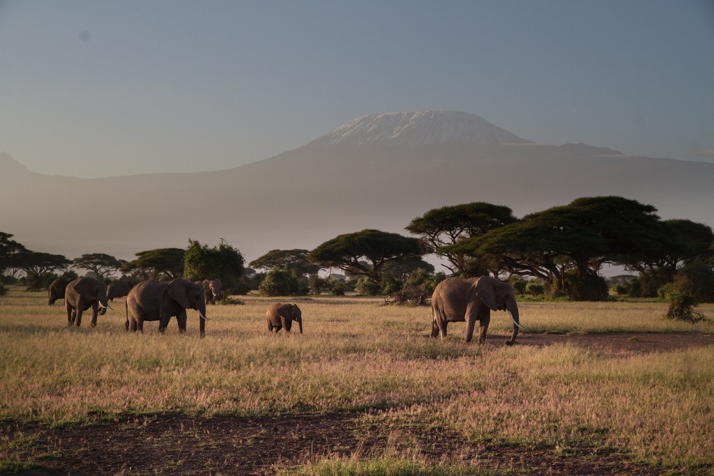 Mount Kilimanjaro National Park